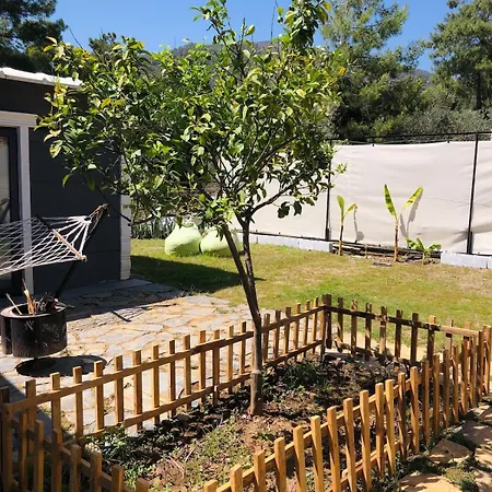 Vakantiehuis Isik , A Happy Vacation Story *