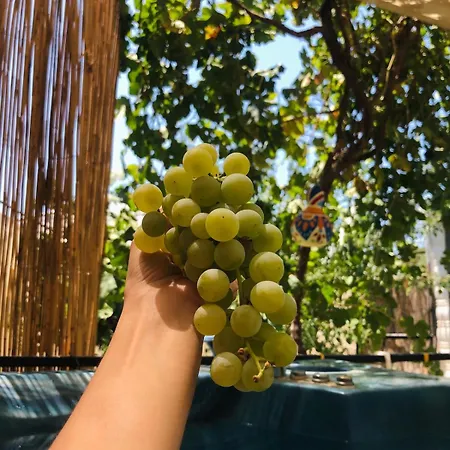 Isik , A Happy Vacation Story Vakantiehuis Fethiye