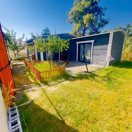 Isik , A Happy Vacation Story