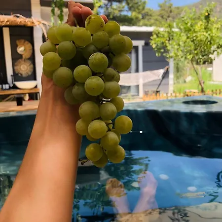 Hébergement de vacances Isik , A Happy Vacation Story Fethiye